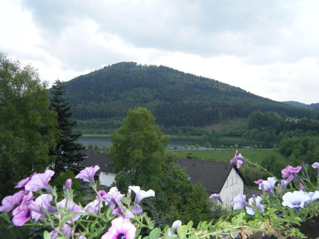 Apartment Schoenblick Winterberg Esterno foto