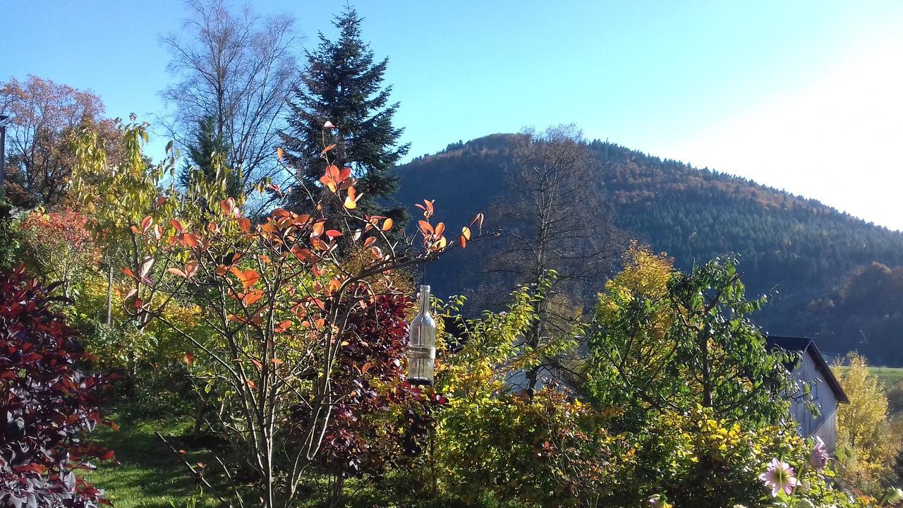 Apartment Schoenblick Winterberg Esterno foto