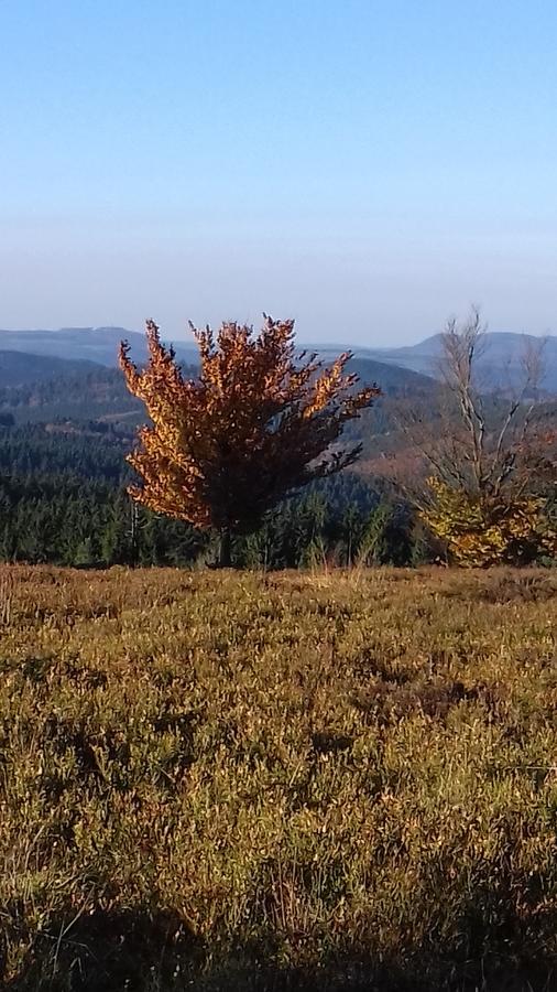 Apartment Schoenblick Winterberg Esterno foto